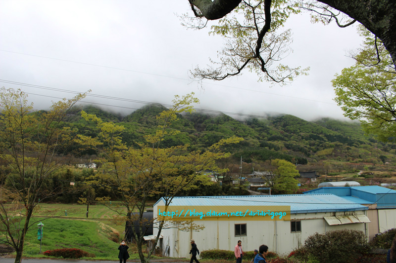 순천꽃마차마을 이미지