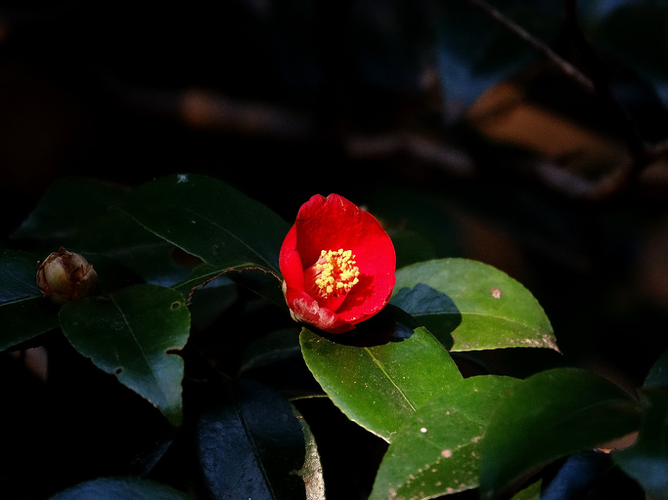 여수 남해 여행