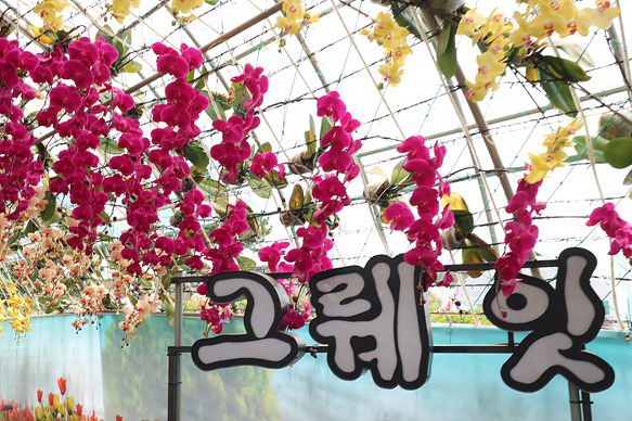 원본이미지(클릭)