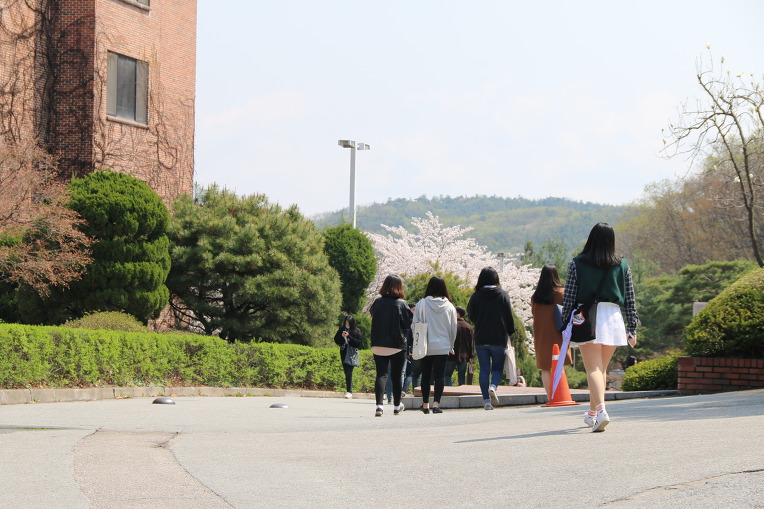 헬스연구소 이미지