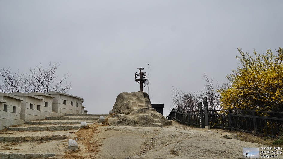 서대문,안산 & 인왕산...개나리,진달래가 흐드러지게 피어있고~