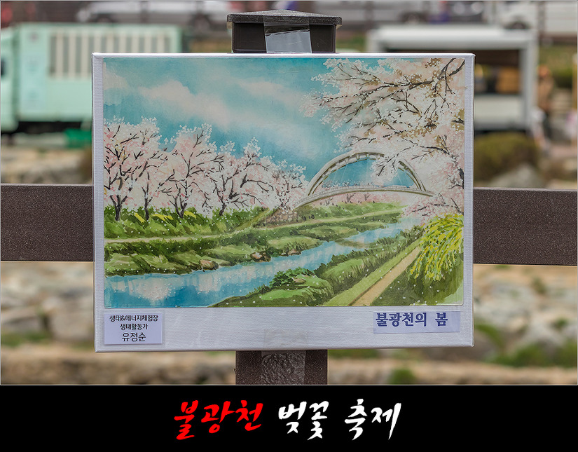 불광천 벚꽃축제 (2019.04.5~6)