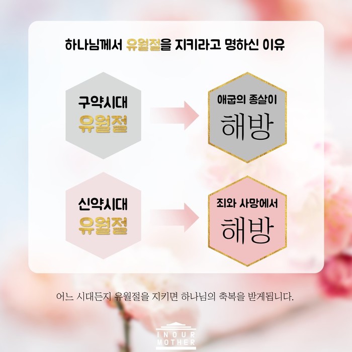 No 브레이크 하나님의교회와 새언약유월절을 전하는 안상홍님
