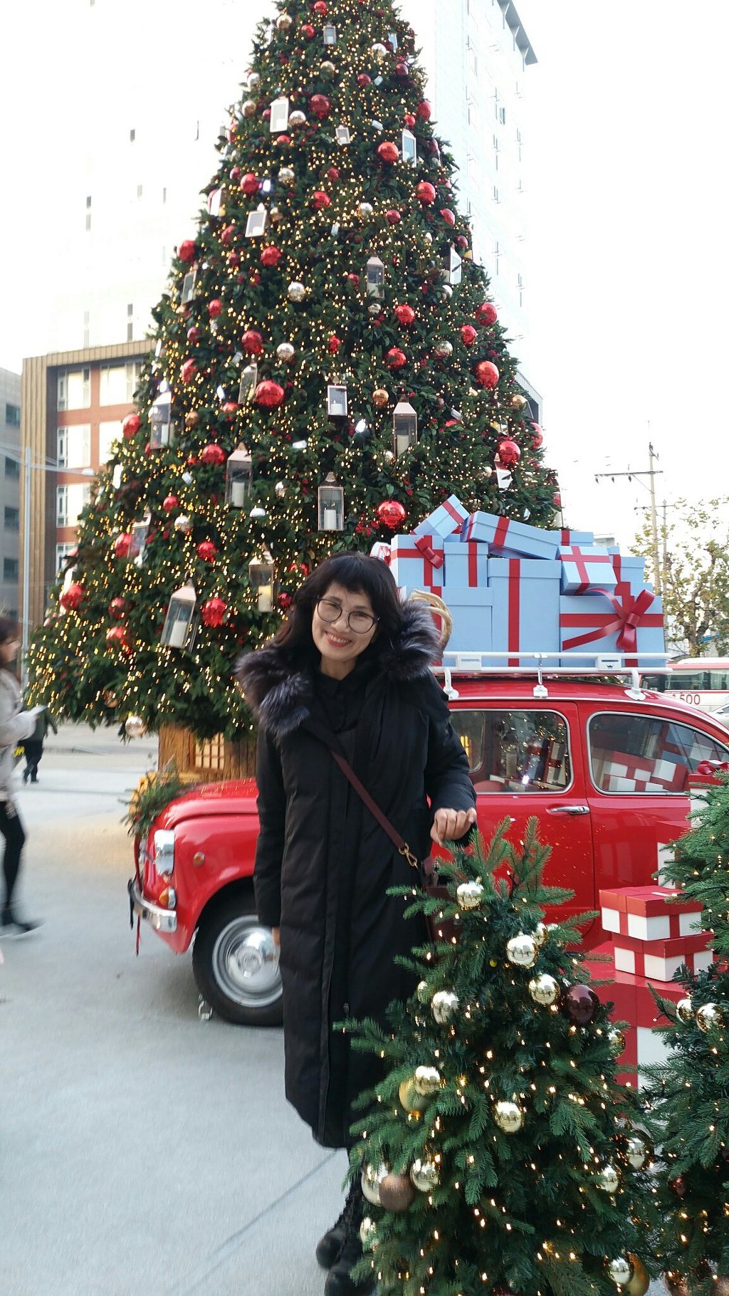 보헤미안 렙소디 