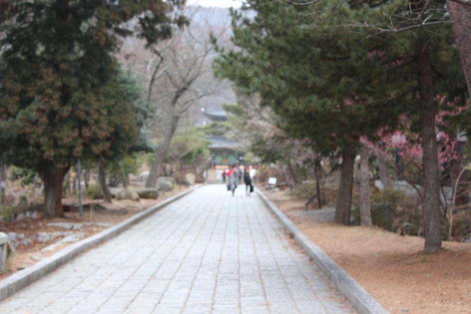 금정산 미션수행 범어3기를 찾아서