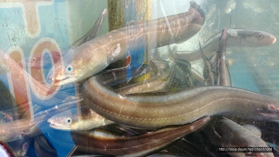 올해 설거지는 시아버지가 다 해주마~